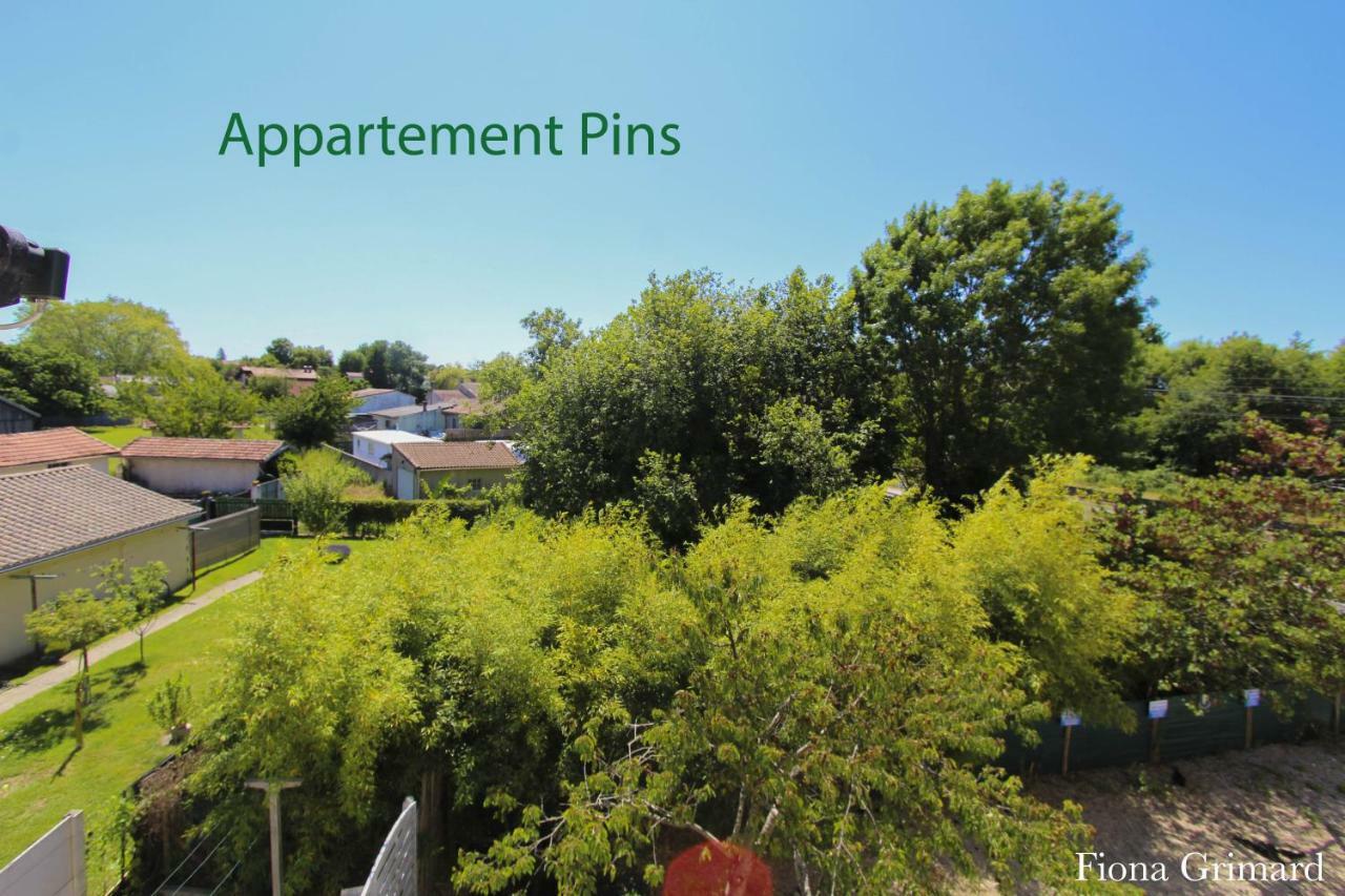 Bureaux Appartements Lesparre Medoc מראה חיצוני תמונה